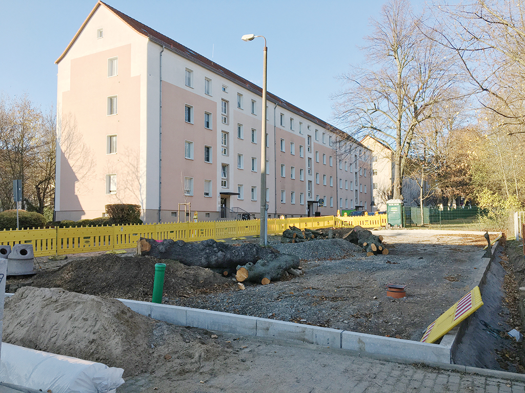 Read more about the article Baumpflanzungen in der Stadt
